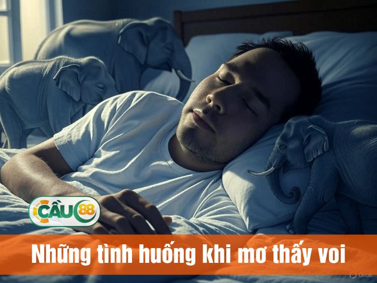 Những tình huống khi mơ thấy voi
